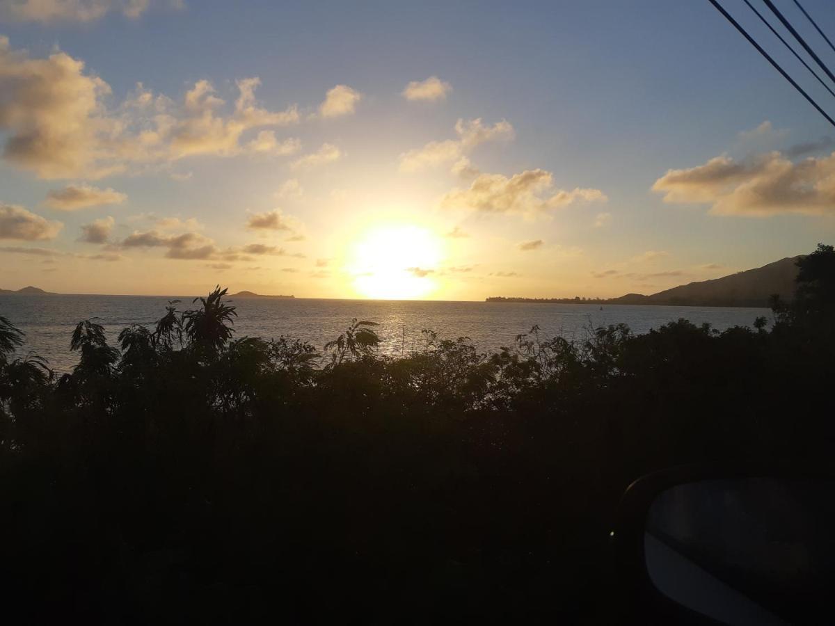 La D'almee And Holiday home Baie Sainte Anne